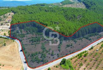 Muğla  Yerkesik de 27.000 metre² arazi