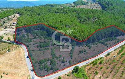 Muğla  Yerkesik de 27.000 metre² arazi