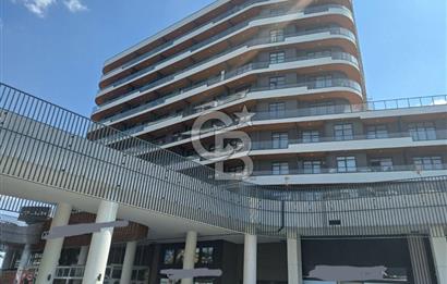 Velux Ankara'da Teras Kullanımlı Büyük Kiralık 2+1 Daire&Ofis