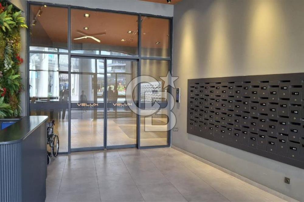 Velux Ankara'da Teras Kullanımlı Büyük Kiralık 2+1 Daire&Ofis
