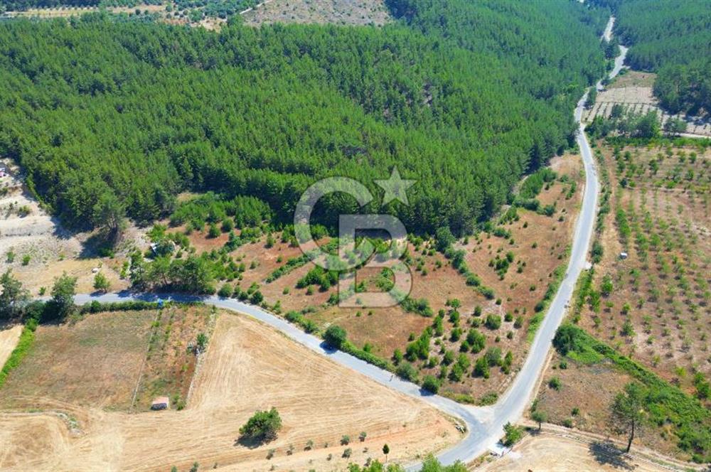 Muğla  Yerkesik de 27.000 metre² arazi