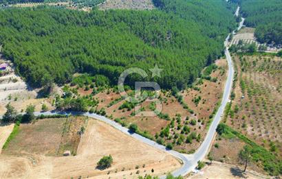 Muğla  Yerkesik de 27.000 metre² arazi