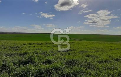 EDİRNE HAVSA ABALAR 15.650 M2 SATILIK TARLA 