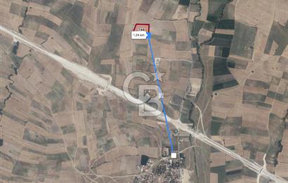 EDİRNE HAVSA ABALAR 15.650 M2 SATILIK TARLA 