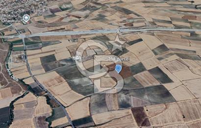 EDİRNE HAVSA ABALAR 15.650 M2 SATILIK TARLA 