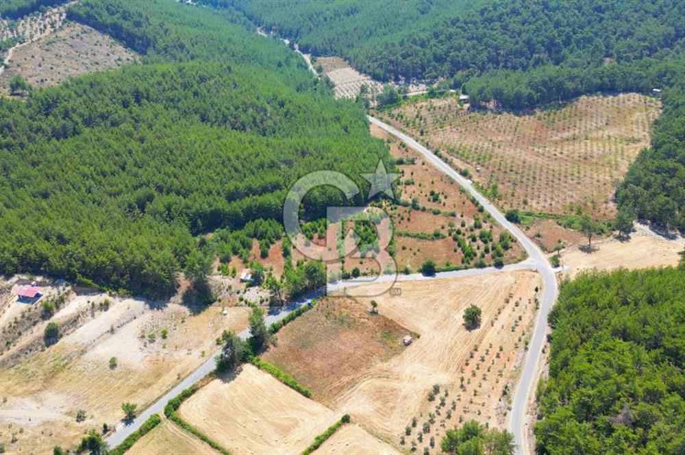 Muğla  Yerkesik de 27.000 metre² arazi