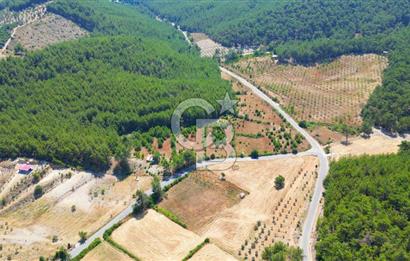 Muğla  Yerkesik de 27.000 metre² arazi