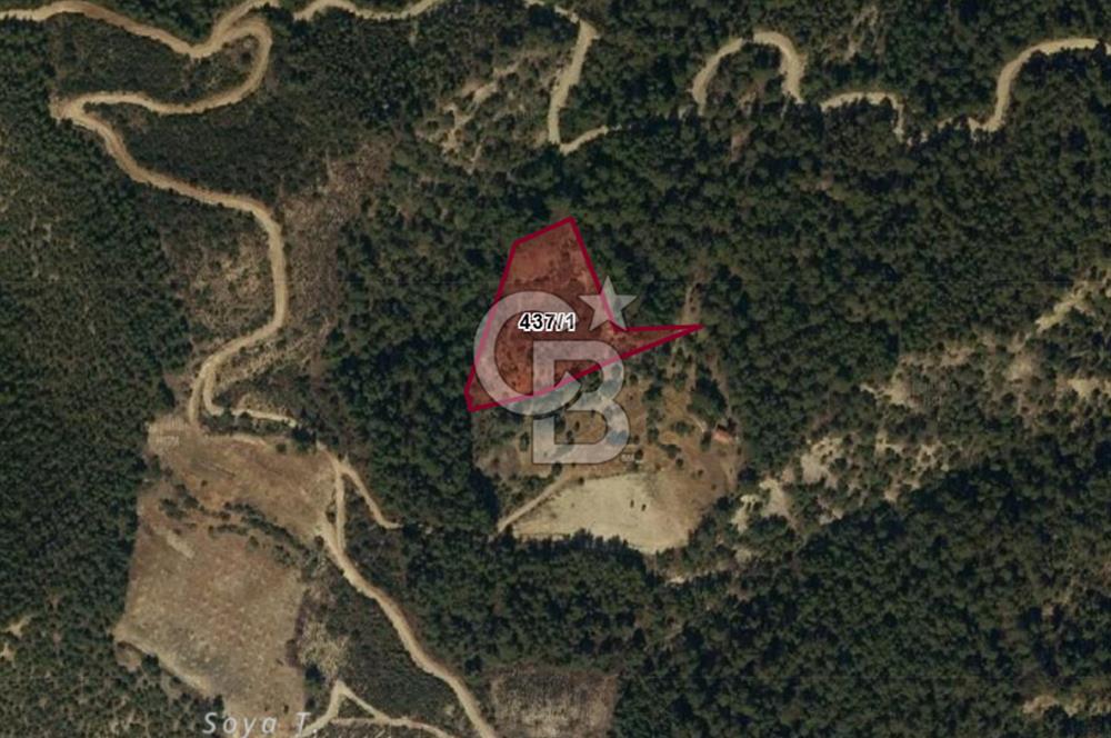 Burdur Bucak Çamlık-Sahil Mahallesinde 7.105 m2 Satılık Tarla