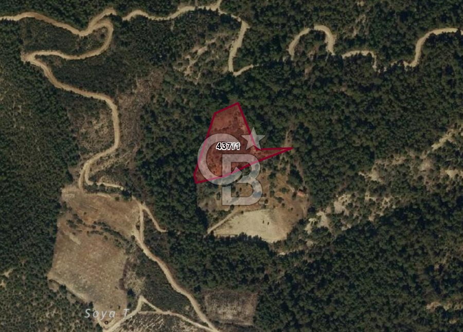 Burdur Bucak Çamlık-Sahil Mahallesinde 7.105 m2 Satılık Tarla