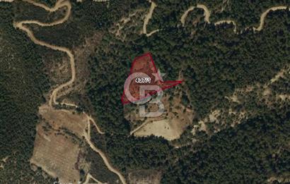 Burdur Bucak Çamlık-Sahil Mahallesinde 7.105 m2 Satılık Tarla