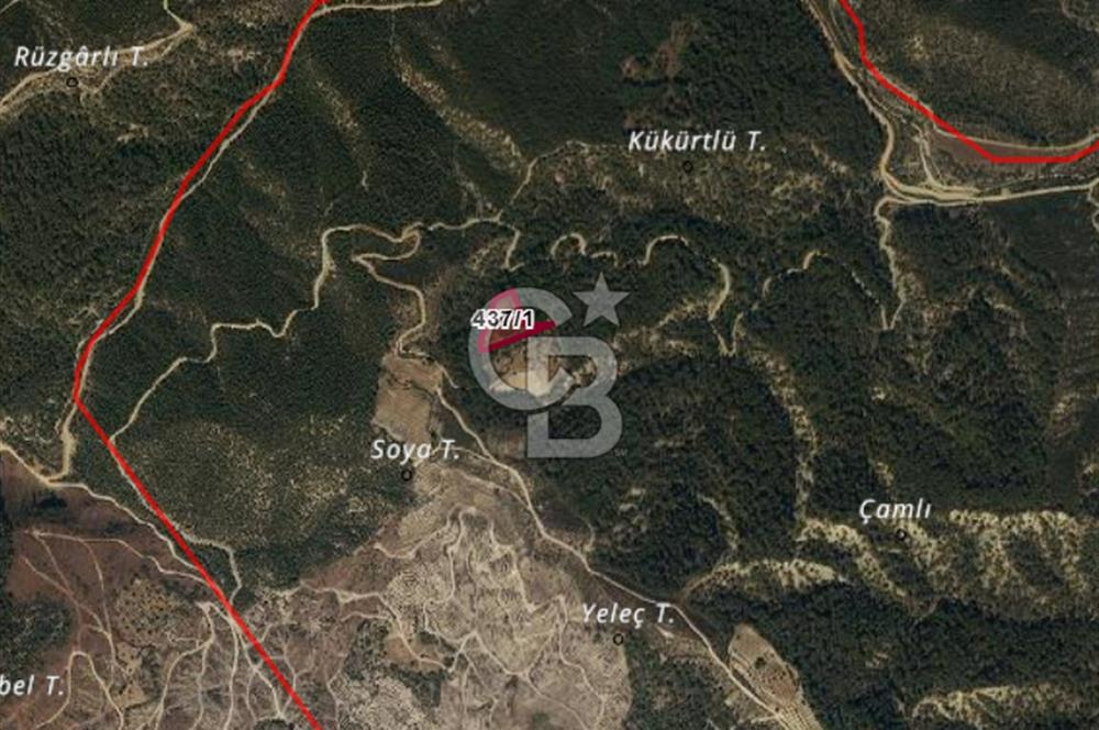 Burdur Bucak Çamlık-Sahil Mahallesinde 7.105 m2 Satılık Tarla