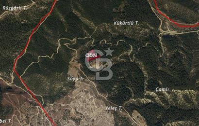 Burdur Bucak Çamlık-Sahil Mahallesinde 7.105 m2 Satılık Tarla