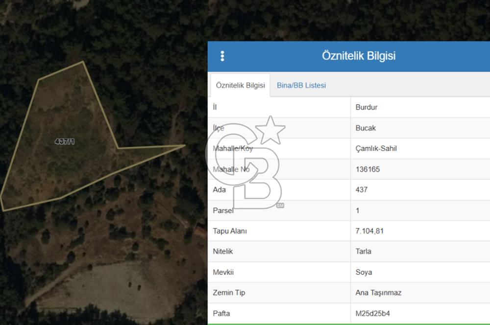 Burdur Bucak Çamlık-Sahil Mahallesinde 7.105 m2 Satılık Tarla