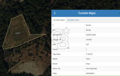 Burdur Bucak Çamlık-Sahil Mahallesinde 7.105 m2 Satılık Tarla