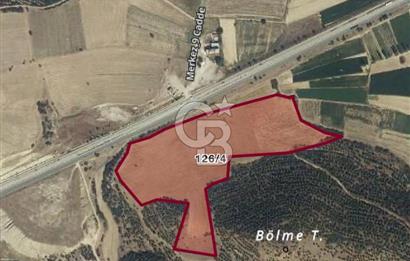 Manisa Kula’da Yola Cepheli 51.438m2 Tek Tapu Satılık Tarla