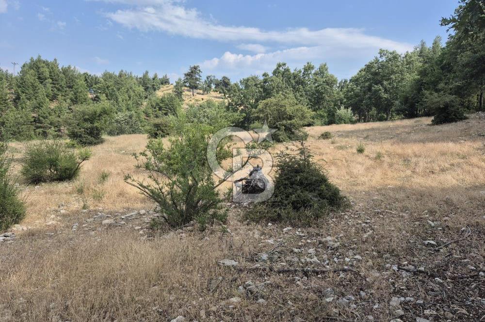 DOYRAN MAĞLAZ MEVKİİNDE ASFALT YOLA CEPHE TEK TAPU TARLA