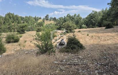 DOYRAN MAĞLAZ MEVKİİNDE ASFALT YOLA CEPHE TEK TAPU TARLA