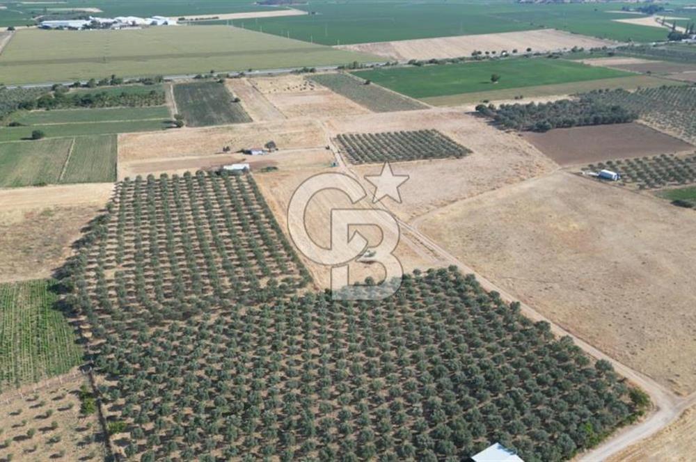 CB.ROUTE'DAN BERGAMA ORGANİZE SANAYİNİN YANINDA SATILIK TARLA