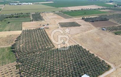 CB.ROUTE'DAN BERGAMA ORGANİZE SANAYİNİN YANINDA SATILIK TARLA