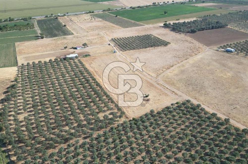 CB.ROUTE'DAN BERGAMA ORGANİZE SANAYİNİN YANINDA SATILIK TARLA