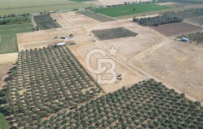 CB.ROUTE'DAN BERGAMA ORGANİZE SANAYİNİN YANINDA SATILIK TARLA
