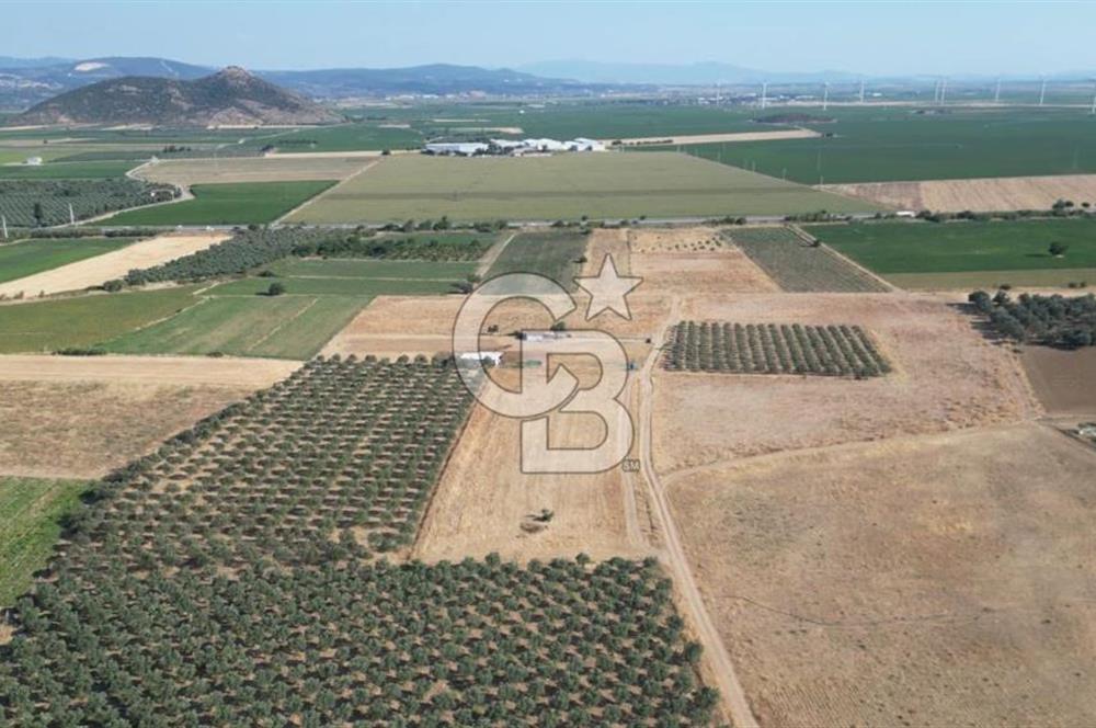 CB.ROUTE'DAN BERGAMA ORGANİZE SANAYİNİN YANINDA SATILIK TARLA