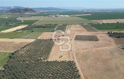 CB.ROUTE'DAN BERGAMA ORGANİZE SANAYİNİN YANINDA SATILIK TARLA