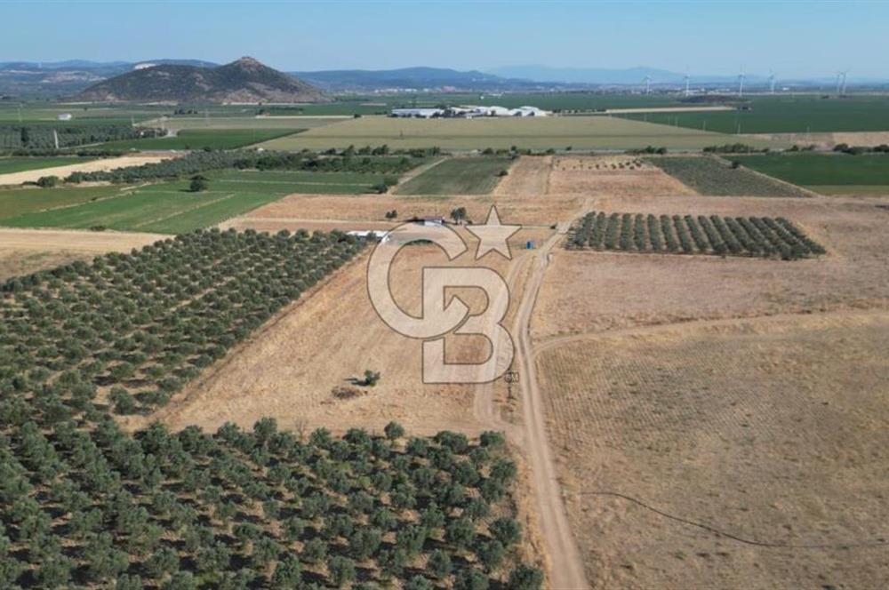 CB.ROUTE'DAN BERGAMA ORGANİZE SANAYİNİN YANINDA SATILIK TARLA