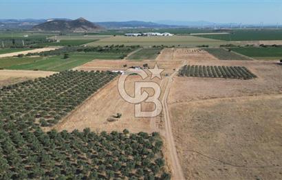 CB.ROUTE'DAN BERGAMA ORGANİZE SANAYİNİN YANINDA SATILIK TARLA