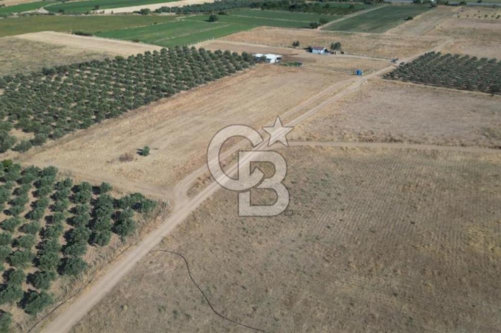 CB.ROUTE'DAN BERGAMA ORGANİZE SANAYİNİN YANINDA SATILIK TARLA