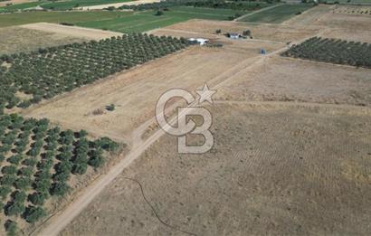 CB.ROUTE'DAN BERGAMA ORGANİZE SANAYİNİN YANINDA SATILIK TARLA