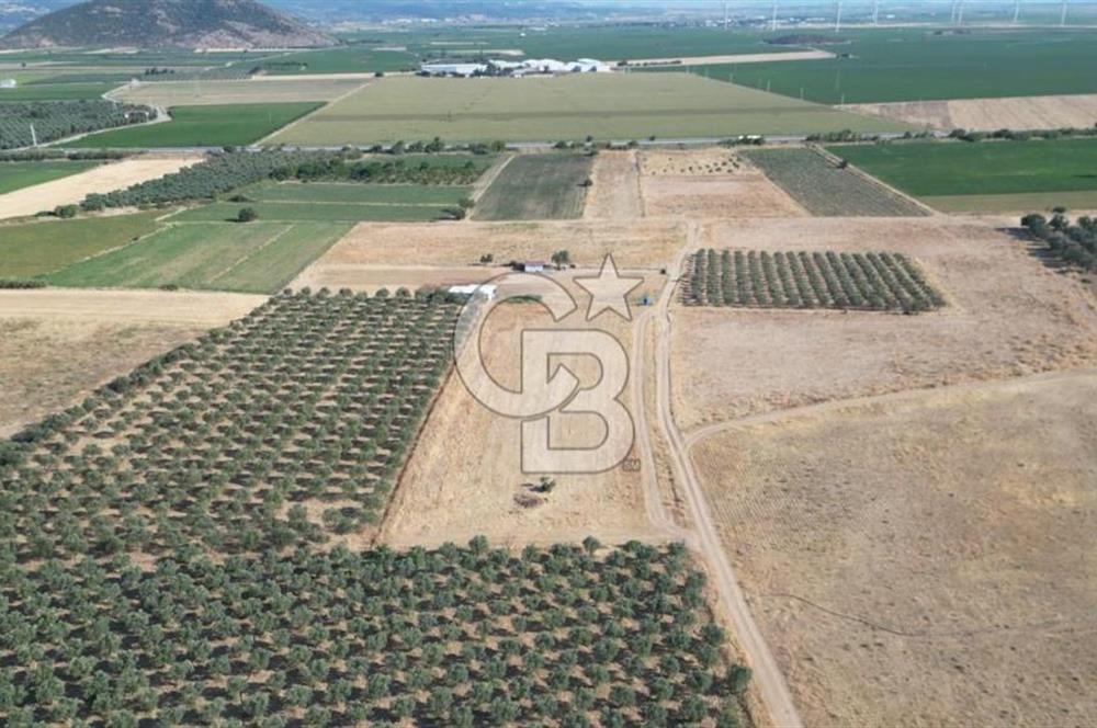 CB.ROUTE'DAN BERGAMA ORGANİZE SANAYİNİN YANINDA SATILIK TARLA