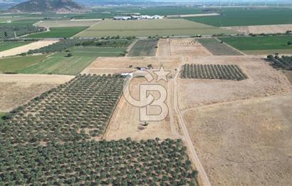 CB.ROUTE'DAN BERGAMA ORGANİZE SANAYİNİN YANINDA SATILIK TARLA