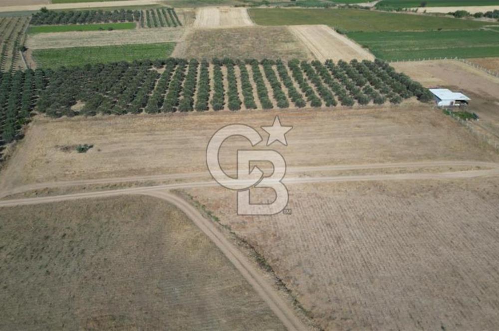 CB.ROUTE'DAN BERGAMA ORGANİZE SANAYİNİN YANINDA SATILIK TARLA