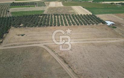 CB.ROUTE'DAN BERGAMA ORGANİZE SANAYİNİN YANINDA SATILIK TARLA