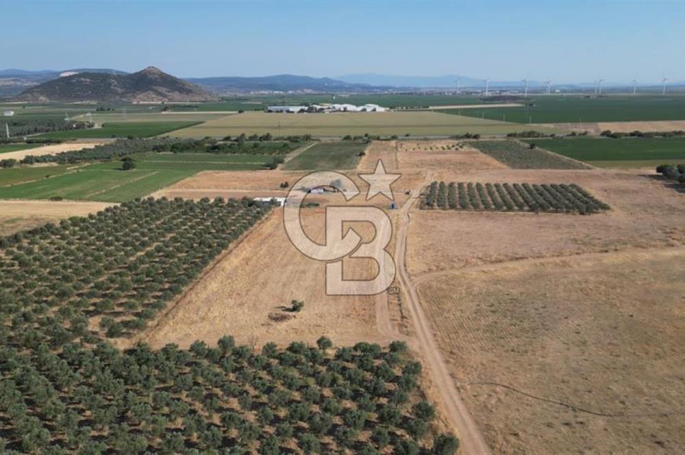 CB.ROUTE'DAN BERGAMA ORGANİZE SANAYİNİN YANINDA SATILIK TARLA