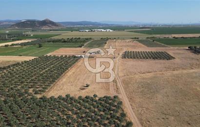 CB.ROUTE'DAN BERGAMA ORGANİZE SANAYİNİN YANINDA SATILIK TARLA