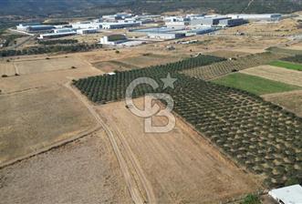 CB.ROUTE'DAN BERGAMA ORGANİZE SANAYİNİN YANINDA SATILIK TARLA