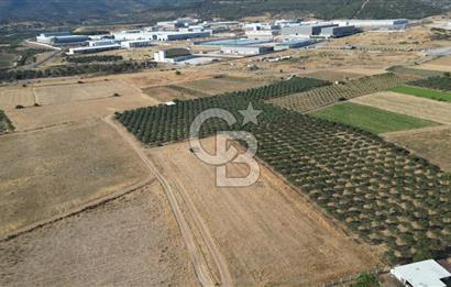 CB.ROUTE'DAN BERGAMA ORGANİZE SANAYİNİN YANINDA SATILIK TARLA