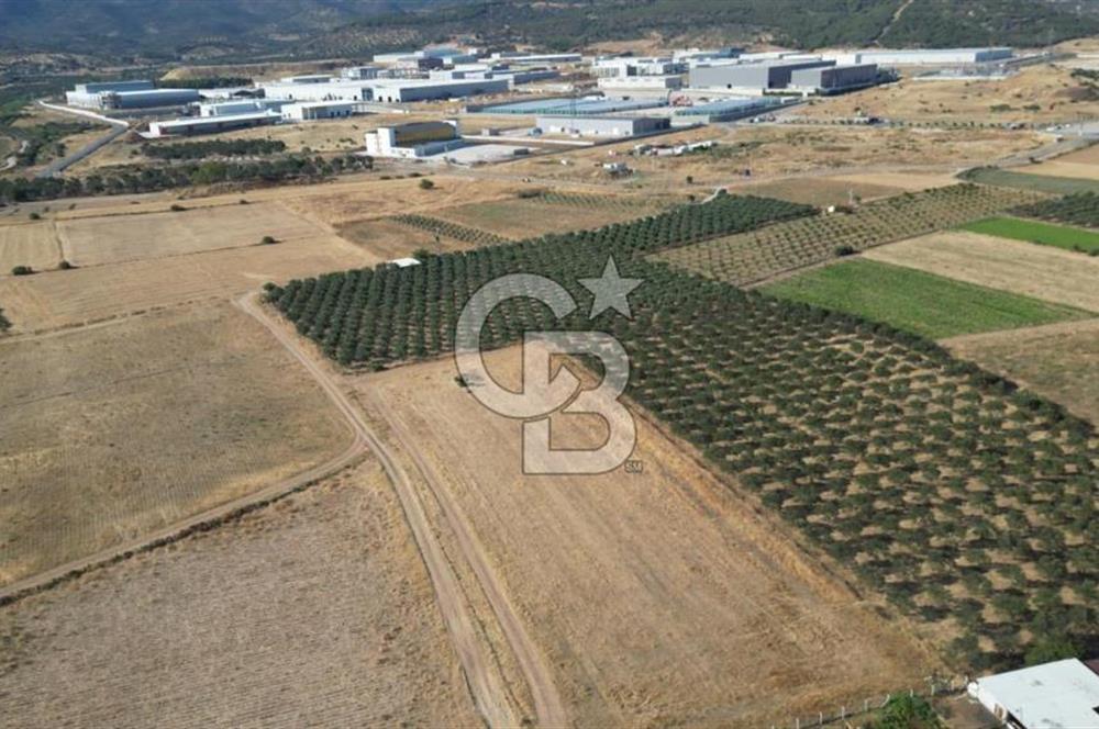 CB.ROUTE'DAN BERGAMA ORGANİZE SANAYİNİN YANINDA SATILIK TARLA