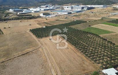 CB.ROUTE'DAN BERGAMA ORGANİZE SANAYİNİN YANINDA SATILIK TARLA