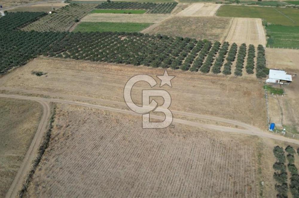 CB.ROUTE'DAN BERGAMA ORGANİZE SANAYİNİN YANINDA SATILIK TARLA