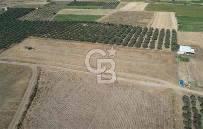 CB.ROUTE'DAN BERGAMA ORGANİZE SANAYİNİN YANINDA SATILIK TARLA