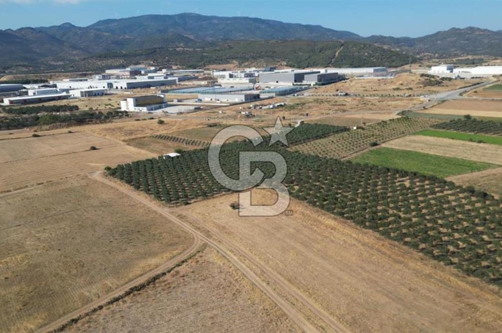 CB.ROUTE'DAN BERGAMA ORGANİZE SANAYİNİN YANINDA SATILIK TARLA