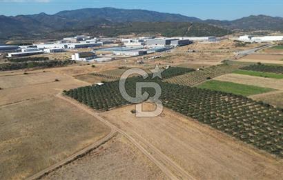 CB.ROUTE'DAN BERGAMA ORGANİZE SANAYİNİN YANINDA SATILIK TARLA