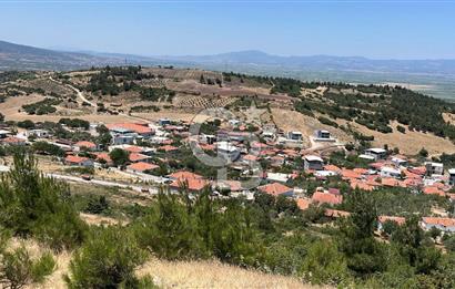 İzmir Kınık Taştepe'de Acil Satılık 2 Adet Tarla 