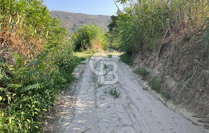 Aydın Buharkent Menderes Mah. Satılık Tarla 