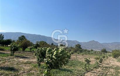 Aydın Buharkent Menderes Mah. Satılık Tarla 