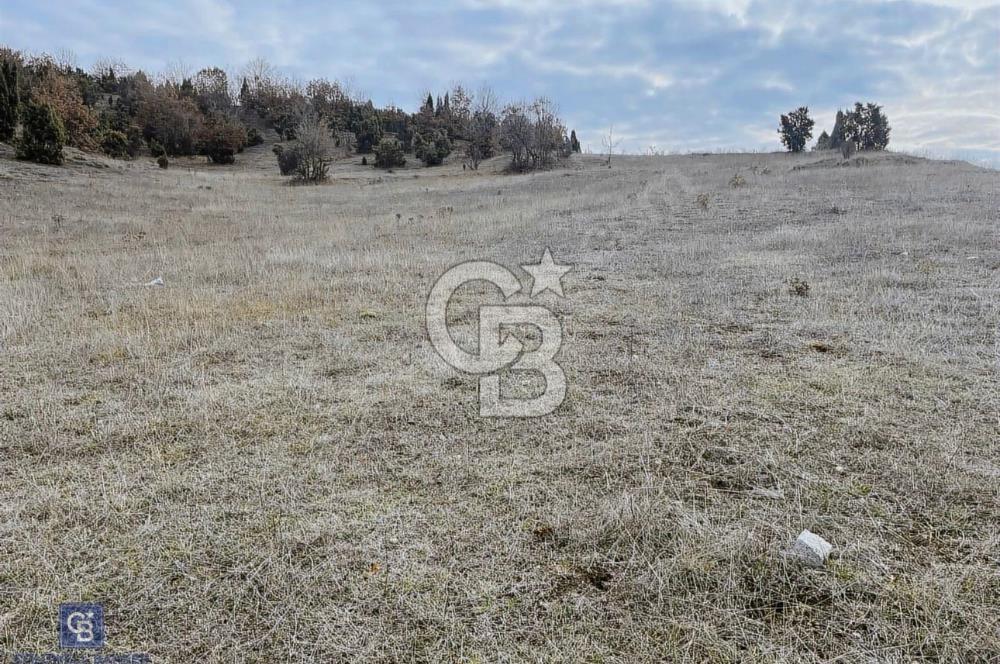 CB CITY'DEN BOZÜYÜK DEVLET HASTANESİNE YAKIN İMARLI SATILIK ARSA