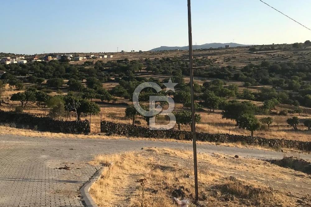 Dazyurt'ta Köye Sınır Arazi